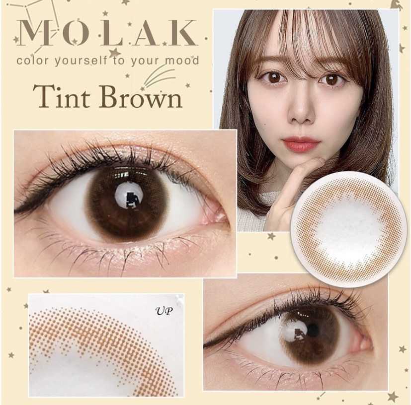 [日拋] Molak Tint Brown 1 Day | 10片裝