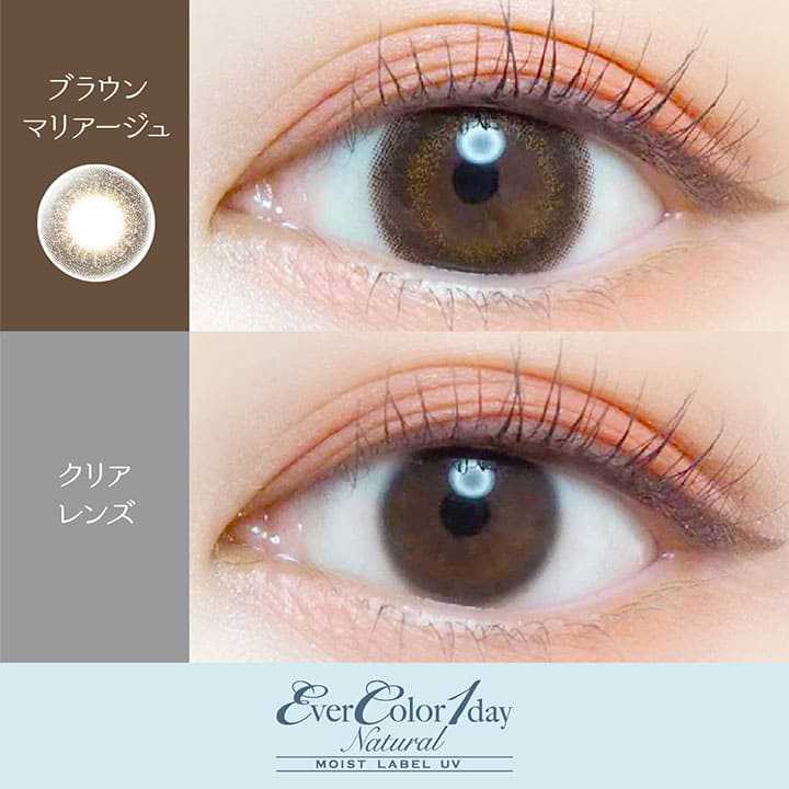 [日拋] EverColor Moist Label UV Brown Mariage 1 Day | 20片裝