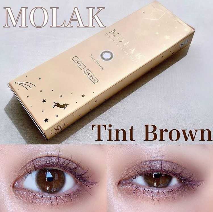 [日拋] Molak Tint Brown 1 Day | 10片裝