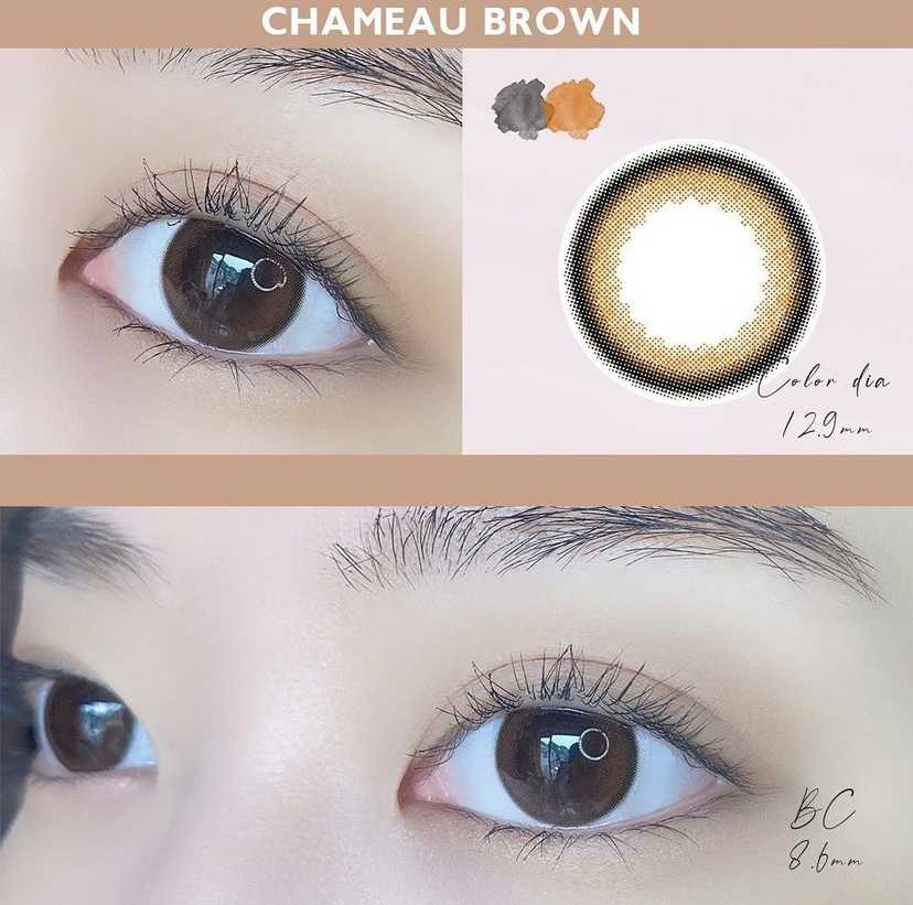 [日拋] Envie Chameau Brown 1 Day | 10片裝